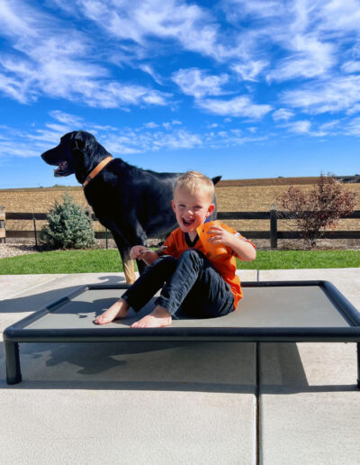 Washable elevated dog bed