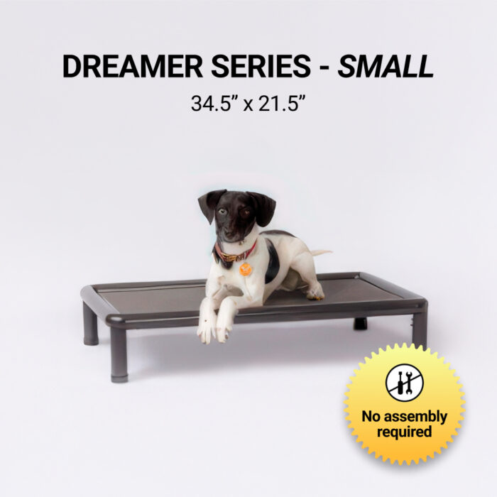Dreamer Series - Small